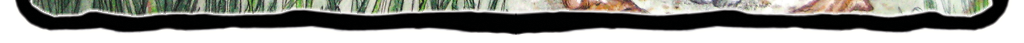 Bot